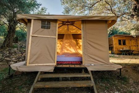 Holiday Park Olive Tree - 26