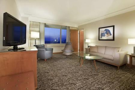 Adana Hiltonsa - 65