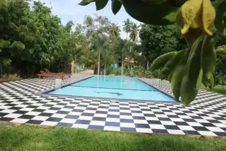The Grand Yala - 9