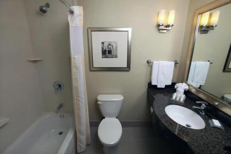Hilton Garden Inn South - 70