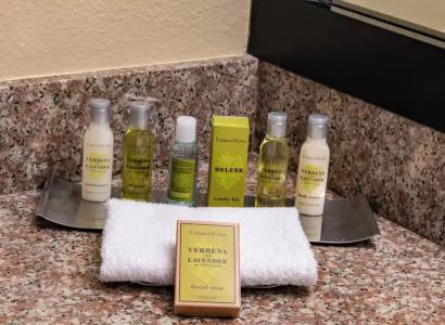 DoubleTree by Hilton Orlando at SeaWorld - 106