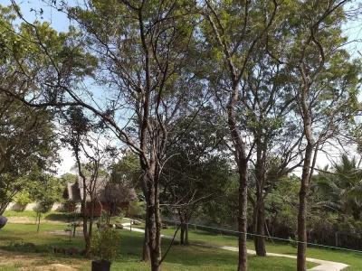 The Bell Farm Eco Resort - 24