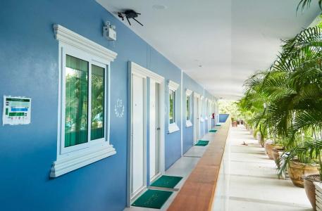 Suan Palm - 34