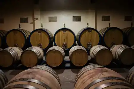 Borgo Scopeto Wine & Country Relais - 25