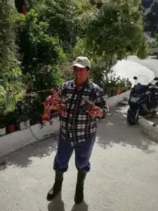 Madalenas b&b - 19