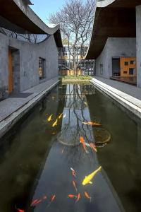 The Sifang Nanjing, Autograph Collection - 157