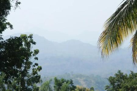 Anura Guest Inn - 34