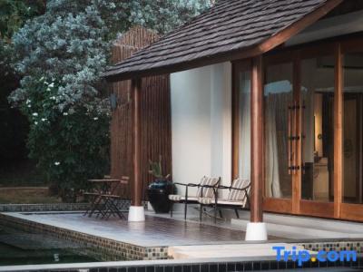 Boribot Pool - 30