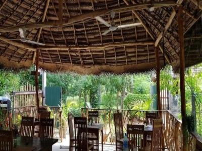 Turtle Paradise - 16