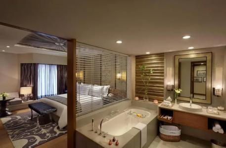 Itc Mughal, a Luxury Collection & Spa, - 63