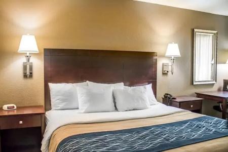 Comfort Inn - 56