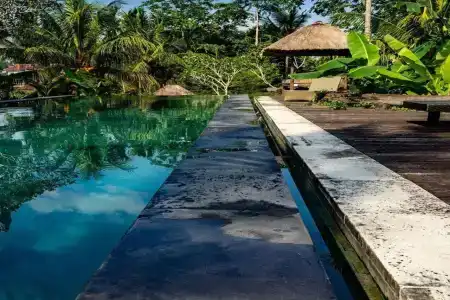 Ubud Sari Health Resort - 3