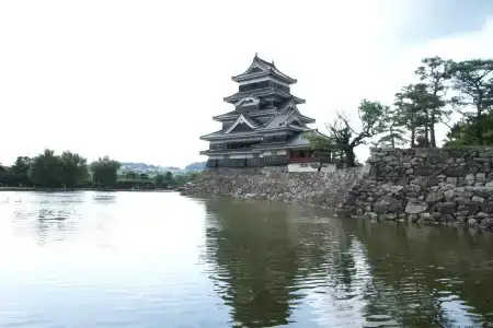 Trend Matsumoto - 12