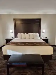 Kelly Inn - 66