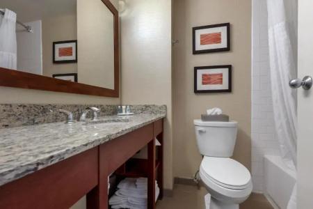 Comfort Inn The Pointe - 37
