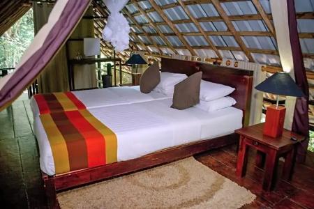 Ella Jungle Resort - 15