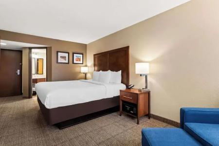 Comfort Inn & Suites Downtown - 47