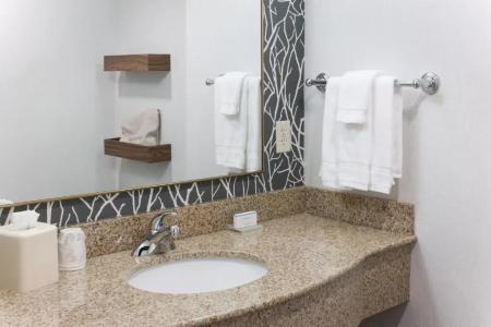 Hilton Garden Inn Austin North - 59