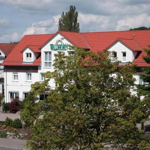 Waldhorn - 4