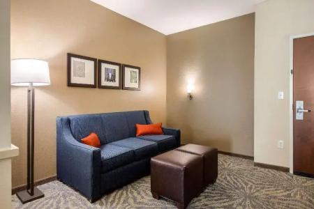 Comfort Suites - South Austin - 24