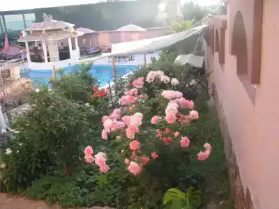 Accommodation Royal Azur - 2