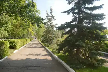 Ударник - 17