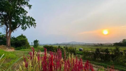 Nan Seasons Boutique Resort - 210