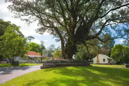 Knights Inn - 10