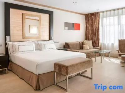 Melia Madrid Princesa - 117