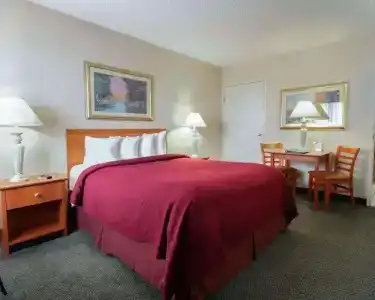 Quality Inn Airport East - 41