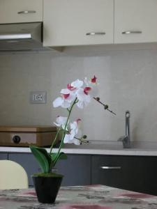 ApartVila Tufi - 14