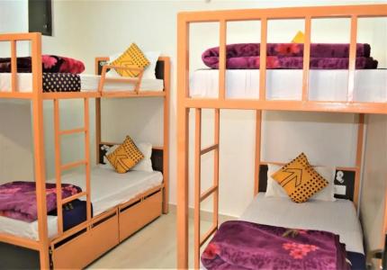 Bedweiser Backpackers - 1