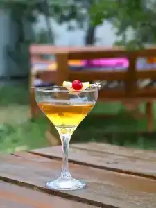Есенин и Бар - 11