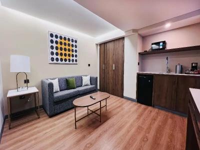 Holiday Inn Mexico City-Plaza Universidad, An Ihg - 101