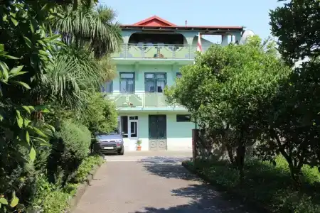 Green House - 0
