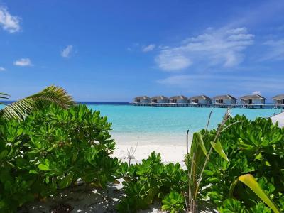 Cocogiri Island Resort Maldives - 24