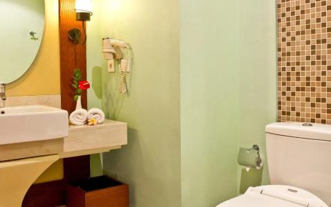 The Rani & Spa - 9