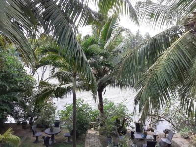 Tinara River Inn, Weligama - 10