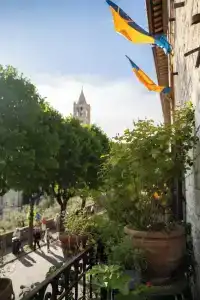 Belvedere - 55