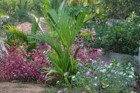 Karma Guesthouse - 13