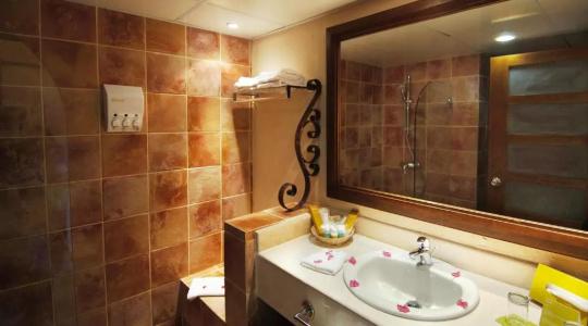 Occidental Caribe - All Inclusive (former Barcelo Punta Cana) - 43