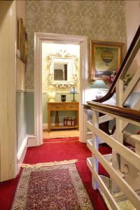 The Ascott - 36