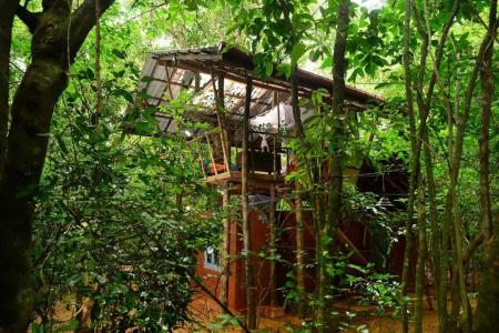 Back of Beyond - Pidurangala - 49
