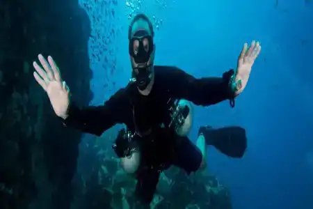 Ban's Diving Resort Sha Extra Plus - 21