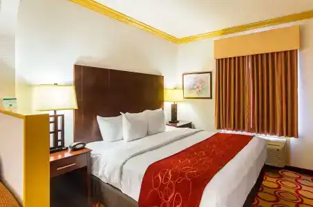 Quality Suites - 5