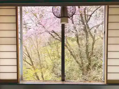 Kirishimaya Ryokan - 16