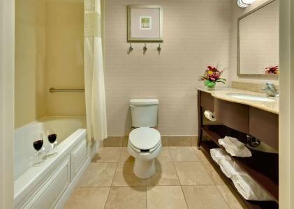 Hampton Inn & Suites - 30