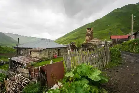 Nora - 8
