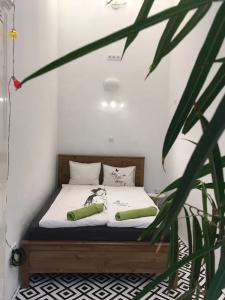 Gaia Hostel - 20