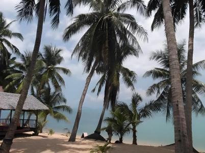 Palm Point Village - 10